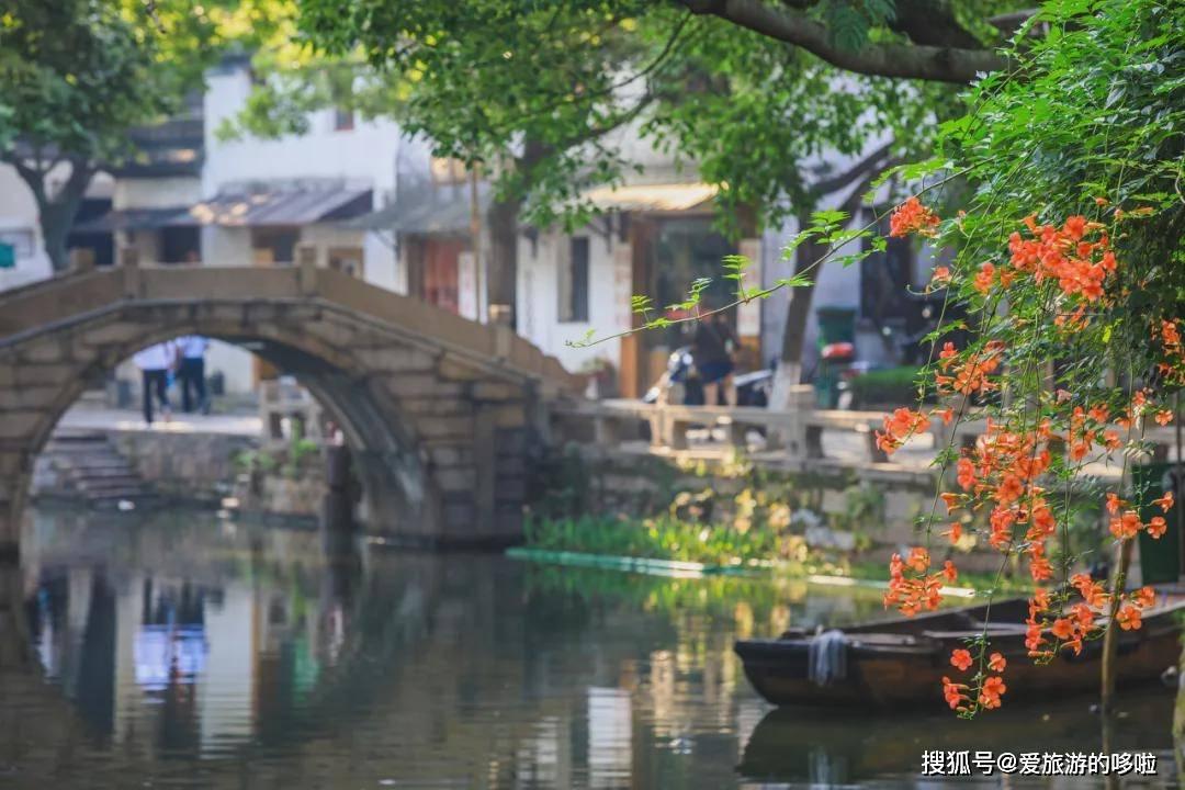 拯救可爱猫王