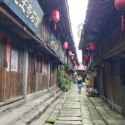 引球进框选关版